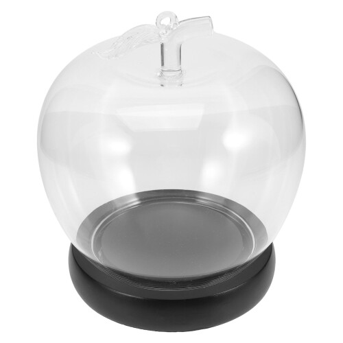 De Vidrio Con Flor Conservada Forma Manzana Base Luminosa 1