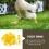 100Pcs Numbered Chicken Leg Bands For Identification 10