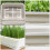 1St Multifunctionele Groentetuinbak Wit Voor Patio En 4