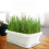 1St Multifunctionele Groentetuinbak Wit Voor Patio En 10