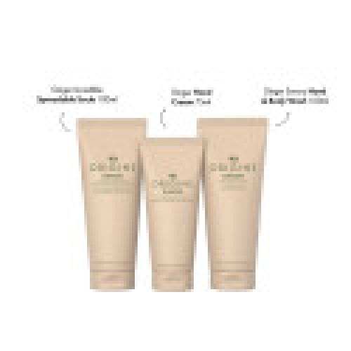 Origins GINGER KYNSI 4 kpl