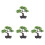 4 Pezzi Bonsai In Miniatura Realistico In Vaso Per 2