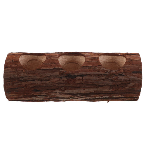 2 Pezzi In Legno Per Bonsai E