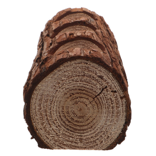 2 Pezzi In Legno Per Bonsai E 2