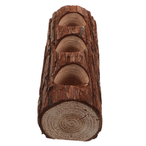 2 Pezzi In Legno Per Bonsai E 1
