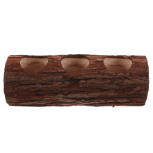 2 Driftwood Plantenpot Voor Vetplanten Decoratieve Bonsaibak
