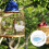 1 Set Beige Verstopplaats Vogels 4