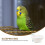 1 Set Beige Verstopplaats Vogels 10