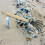 Manuale 5 Denti In Legno Per Spiaggia 5