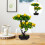 Árvore Artificial Bonsai Vaso Para Decoração 5