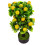 Árvore Artificial Bonsai Vaso Para Decoração 11
