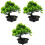 3 Unidades De Árvore De Bonsai De Artificial Vaso 5