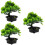 3 Unidades De Árvore De Bonsai De Artificial Vaso 9