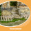 3Pcs Mini De De Para Paisagem E 8