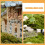 3Pcs Mini De De Para Paisagem E 9