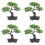 4 Unidades De Bonsai Vaso Para Decoração 5