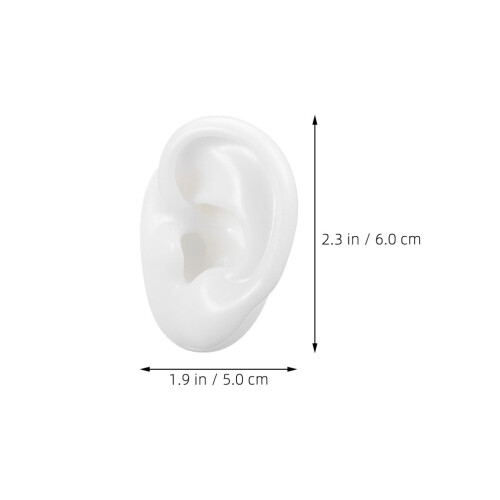 2 Unidades De Piezas Anatómicas De Silicona Para Práctica De Piercing 2
