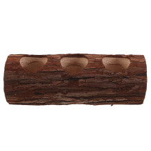 2 Driftwood Plantenpot Voor Vetplanten Decoratieve Bonsaibak