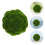 Esferas Decorativas De Verde Artificial Para Fiesta 10 Cm 10