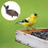 Soporte Alimentación Pájaros Retro Hierro 5