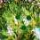 1 Pezzo Verde 12 Cm Per Decorazioni 4