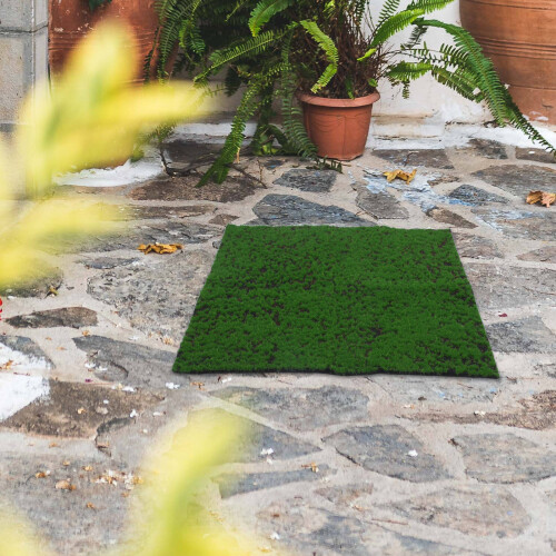 Tappeto In Per Esterno E 2
