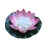 Led Luce Piscina Rosa 1
