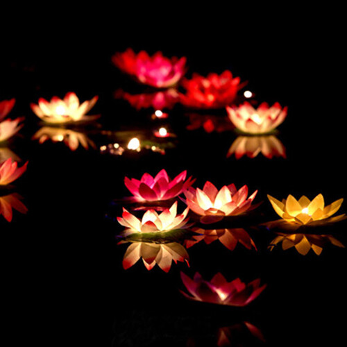Led Luce Piscina Rosa 2