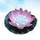 Led Luce Piscina Rosa 10
