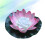 Led Luce Piscina Rosa 6