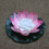Led Luce Piscina Rosa 2