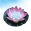 Led Luce Piscina Rosa 7