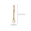 Brosse Bain Fibre Pbt Manche Longue Multiusage 3