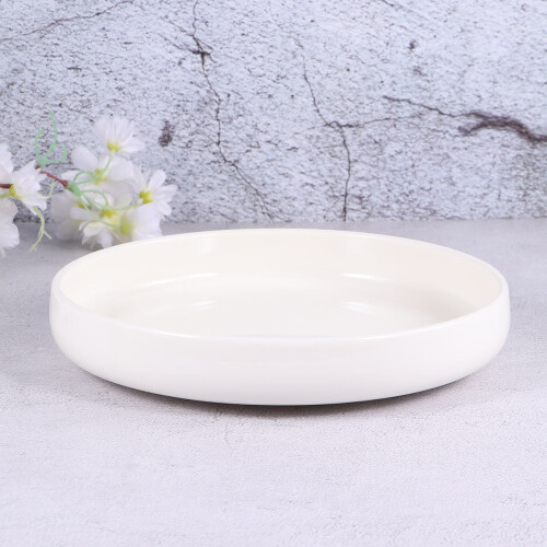 Ceramic Feeding Bowl Schüssel Für Futterbehälter 2