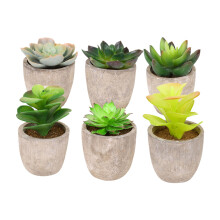 6 Pcs Simulation Succulent Bonsai Decorations For Home Flower Garden