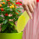 5 Unidades Colheres De Bonsai Plástico ( ) 4