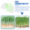 Soil- Wheatgrass Kweker Hydroponische Kunststof 11