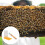 2 Pezzi Bee Water Feeder Box Multifunzionale Per Apicoltura 6