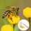 2 Pezzi Bee Water Feeder Box Multifunzionale Per Apicoltura 8