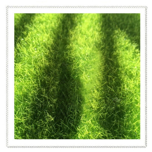 3 Pezzi Artificiale 49X47 Cm Miniatura Giardino Vaso Verde 1