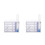 2 Formicaio Per Colonie Kit Osservazione 7