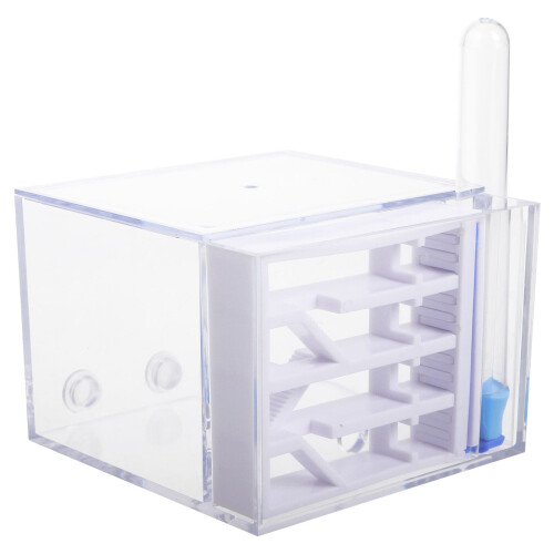 2 Formicaio Per Colonie Kit Osservazione 1