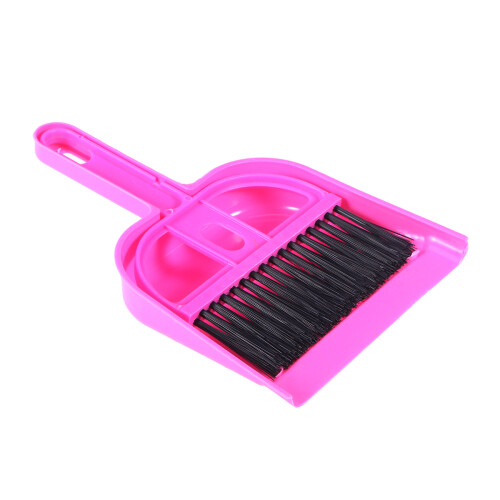 Conjunto De Vassourinha E Lixeira Plástico Mini Para (Rosa)