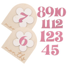 1 Set Baby Milestone Karten Neugeborenes Monatsschild Fotoprop