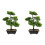 2 Unidades Árvore Bonsai Artificial Vaso Planta 2