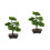 2 Unidades Árvore Bonsai Artificial Vaso Planta 4