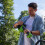 Greenworks 24V Battery 4Ah 7