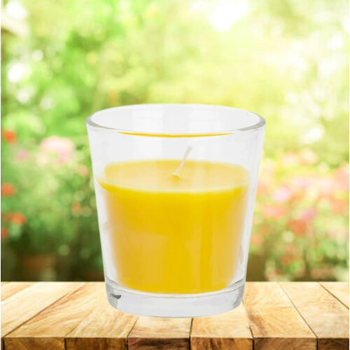 Outdoor Citronella Jar Candle Insect Bug Repellent