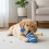 Jouet couinant en forme de chaussette colorée pour chien,-B 7