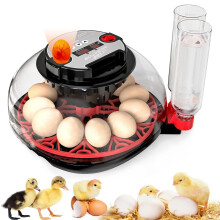 Egg Incubators 12-Egg Capacity With Automatic Turning And Auto Water Filling Temperature Humidity Control For Poultry